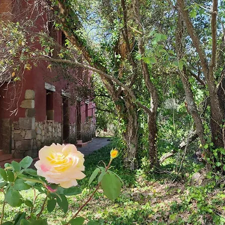 Apartamentos Rurales La Oropendola Jaraiz de la Vera Exterior photo