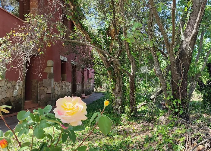 Apartamentos Rurales La Oropendola