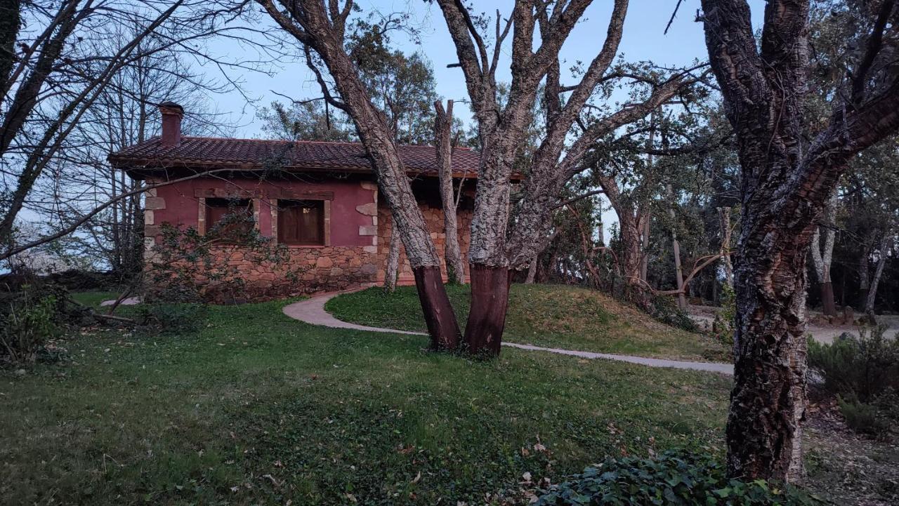 Rurales La Oropendola Apartment