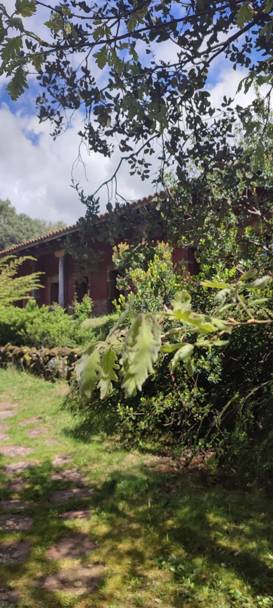 Appartement Rurales La Oropendola