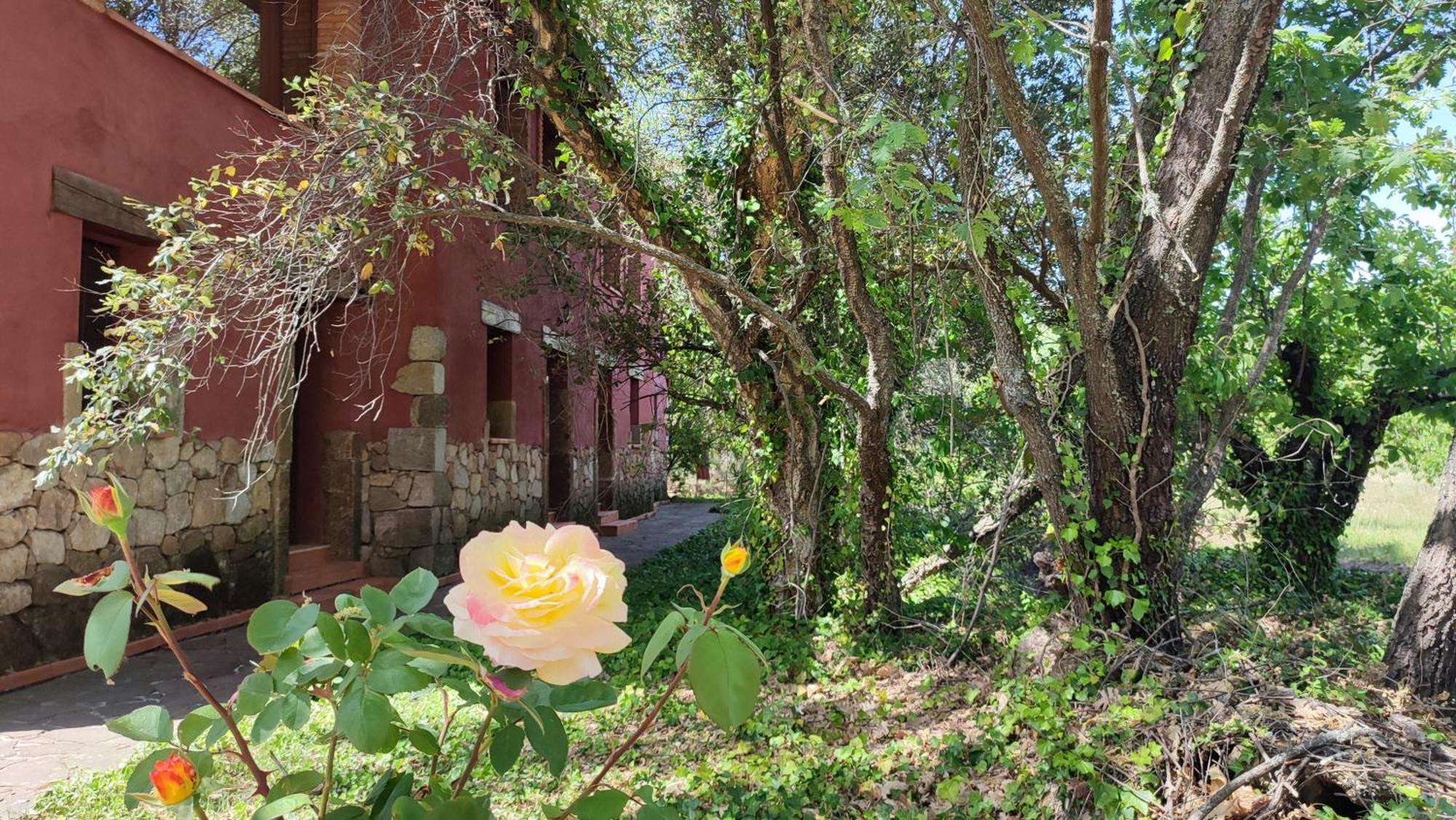 Apartment Rurales La Oropendola *