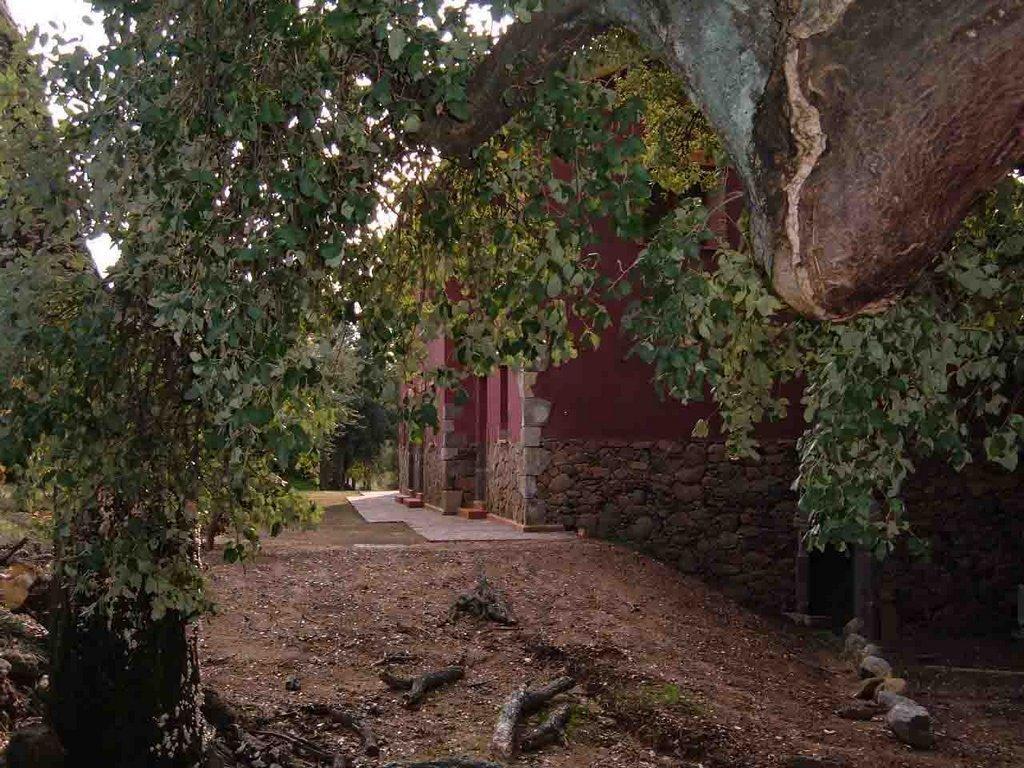 Apartment Rurales La Oropendola